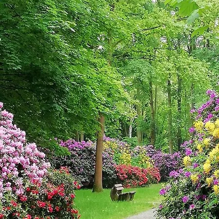 Haus Wegener Апартаменты Бад-Зассендорф