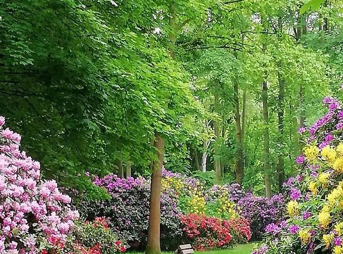 Haus Wegener Daire Bad Sassendorf